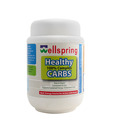 Wellspring Wholesome Protein