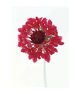 Artjini Red Flower Close-up Painting