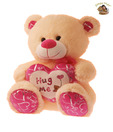 Dimpy Teddy Bear With Hug Me Motif-Large-48 cm