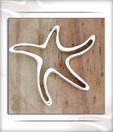 Designer Silver Inc. Star Fish Pendant