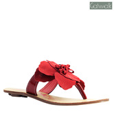 Catwalk Red Flower Slip-on Slippers