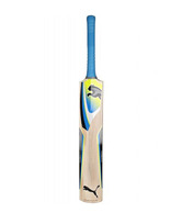 Puma Karbon Gt Kashmir Willow Cricket Bat (Size 7)