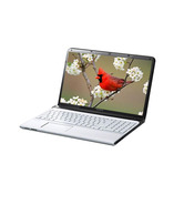 Sony VAIO SVE-15138 Laptop (Intel Core i7 3632QM- 1TB HDD- 4GB RAM- 15.5 Inch- Win8- 2GB Graph) (White)