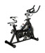 Lifeline Exercise Skin Bike With 20 Kg Wheel Cycle
