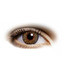 Freshlook Colour Blends (2 Lens Pack) Pure Hazel