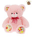 Dimpy Stuff Cute Bear With Colourful Paws Soft Toy-44 cm