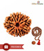 Divine Miracles Natural Nine Face Rudraksha