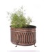 Live n Style Copper Finish Pretty Planter