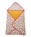 Star and Moon Sleeping Bag