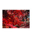 Artjini Blossoms Painting