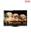 Toshiba 19 PA200ÃÂÃÂÃÂÃÂ 19 Inches HD LED Television
