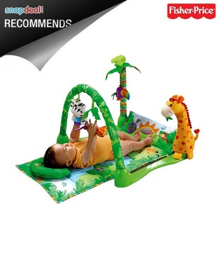 Fisher-Price 123 Musical Rain Forest Gym