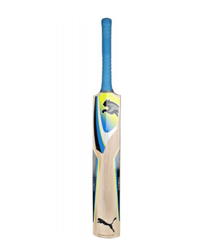 Puma Karbon Gt Kashmir Willow Cricket Bat (Size 7)