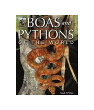 Boas And Pythons Of The World