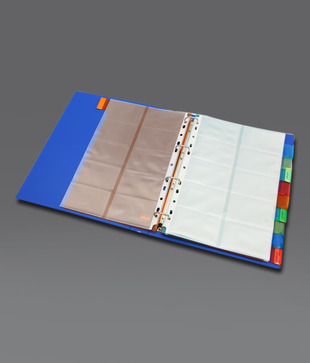 Solo Multi - Coloured Divider (SP 110) - 5 pcs pkt