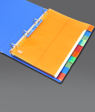 Solo Multi - Coloured Divider (SP 110) - 5 pcs pkt