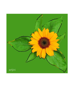 Artjini Sunflower On Green Background Painting
