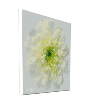 Artjini White Flower Close-up Painting